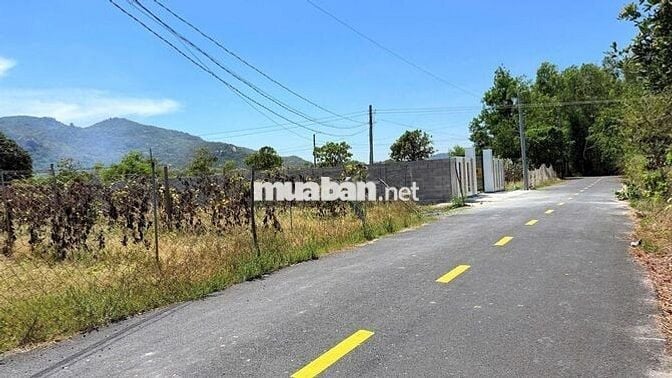 Bán đất gần hồ Sở Bông -núi Minh Đạm xã Phước Hải.BRVT đi biển 3km