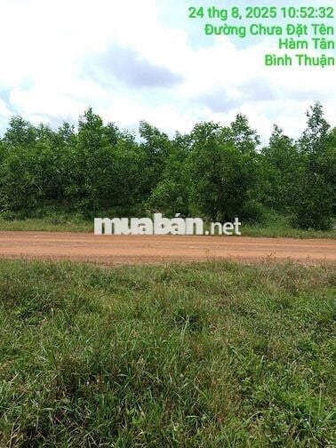 16000m2 CLN mặt tiền pháp lý rõ ràng được ngân hàng hỗ trợ vay tối đa