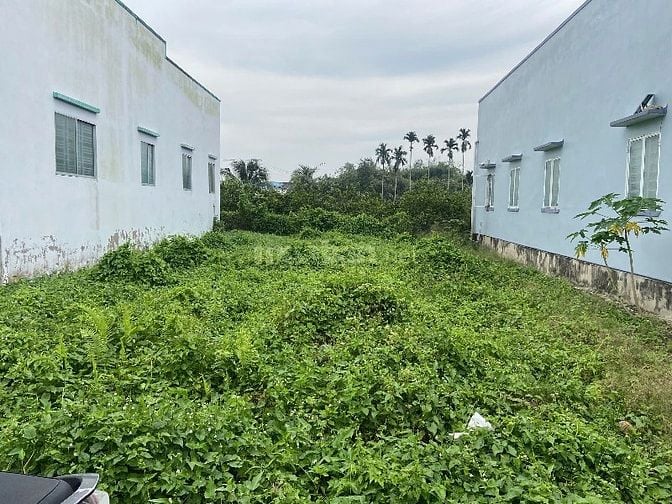 Sang đất nền lọt khe Bến Lức, sổ hồng riêng chính chủ