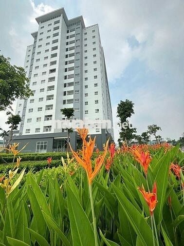 CHO THUÊ CĂN HỘ GẦN VÒNG XOAY AN LẠC chỉ 6tr - căn 2PN 85m2 nhà trống