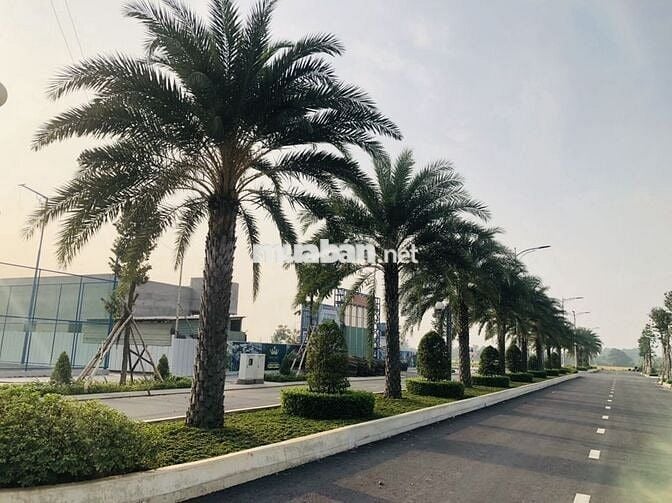 bán gấp lô đất full thổ 1/500 sieu đẹp chỉ 2ty -king hill đối diện ECO