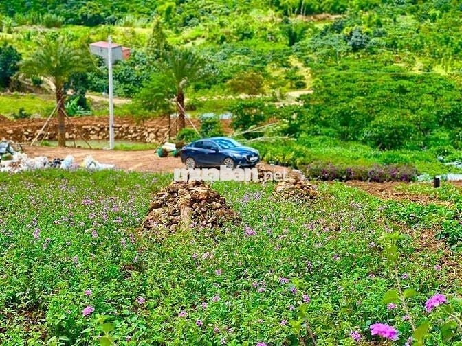 Đất nền full thổ ngay Eco Retreat - Bến Lức Long An 23tr/m2 - sổ sẵn