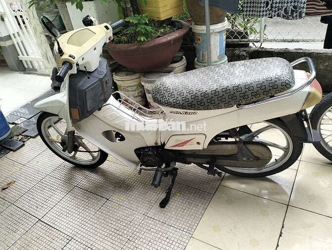 Xe max 50cc