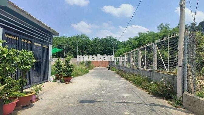 🔥 Bán đất Phú An TP.HCM – DT 888m²–Thổ cư 171m_Giá chỉ 4.29 tỷ TL!
