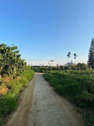 2000m2 mặt tiền 16m2 thôn 1 cách chợ cũ Lộc An 500m