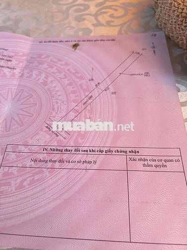GD CẦN BÁN GẤP ĐẤT PHÚ RIỀNG BÌNH PHƯỚC