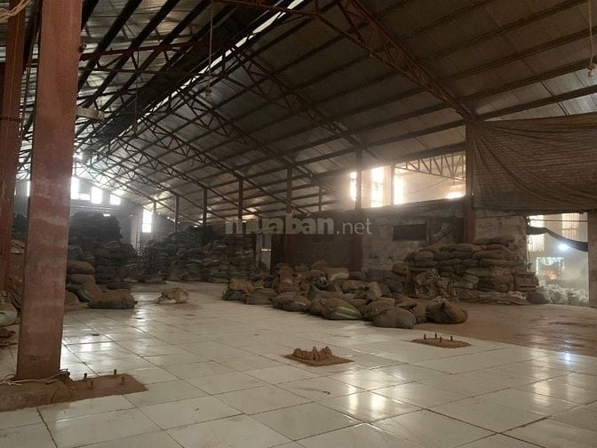 VIỆT TRÌ - PHÚ THỌ CHO THUÊ HOẶC BÁN  XƯỞNG 3800M2