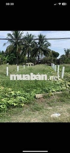 giá : 380tr/ 126m2 thổ cư , quê mỹ thạnh - tân trụ - long an