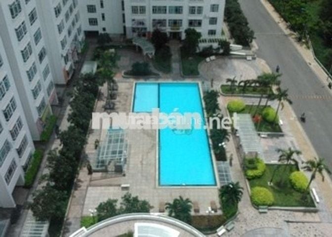 Cần tìm bạn ở ghép (ở liền được)
