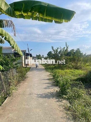 giáp bến lức 1,4 tỷ / 653m2 thổ cư, an nhựt tân - tân trụ long an