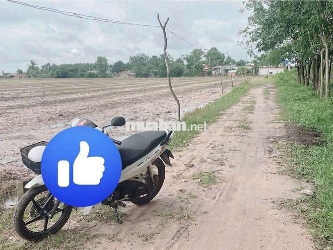 Đất ninh điền. Chỉ 165 triệu hết đất