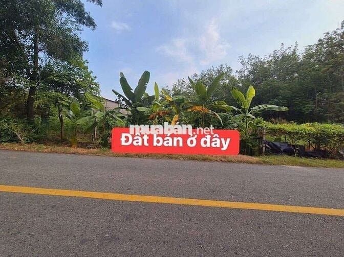 Bán đất , đường lớn an nhơn Tây 10X20 Thổ 150m. Tại Củ Chi