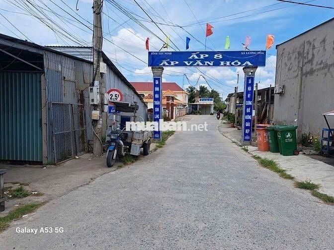 Đất thổ+vườn dt 4900m giá 7tỷ5 +(6 căn phòng trọ.fui phòng.vườn mai)