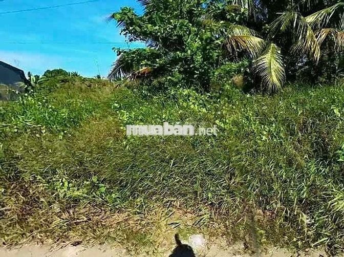 Thu hồi vốn lô đất MT Nguyễn Văn Thới , Quy Đức,Bình Chánh 80m2 772tr