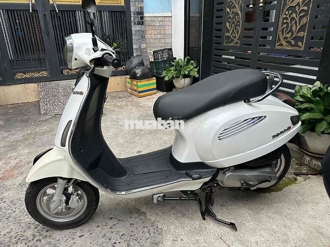 xe tay ga 50cc ko cần bằng lái