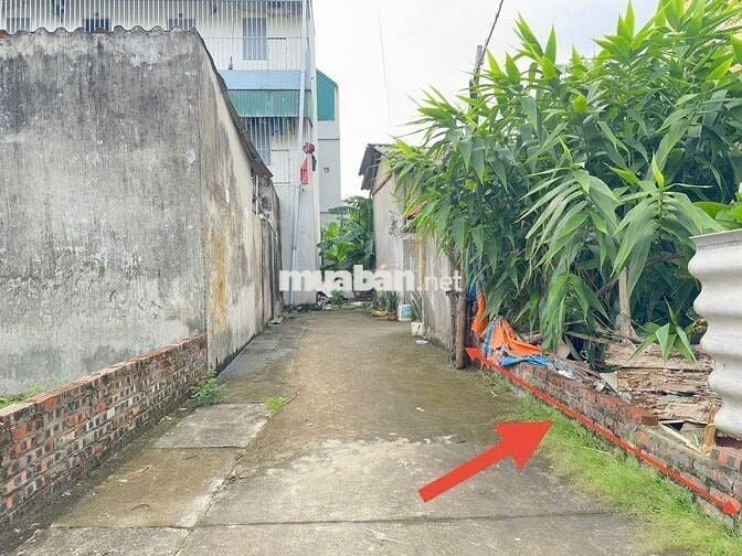 Bán lô đất siêu đẹp tổ 5, Quang Minh, thành phố Hà Nội. Gần KCN Quang