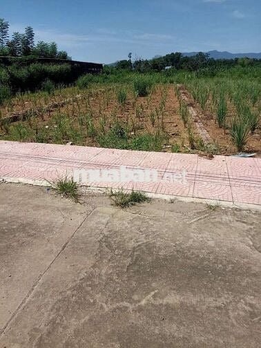 BÁN 157,4M FULL THỔ MẶT TIỀN 5,69M,GIÁ CHỈ 2,65TỶ HÒA TRÚC XÃ PHÚ CÁT