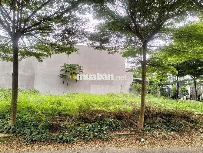 Bán đất mặt tiền full thổ cư, sổ riêng LH:***