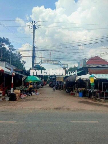 ĐẤT NỀN SỔ HỒNG RIÊNG MẶT TIỀN ĐƯỜNG NHỰA