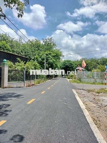 Đất rẻ 199tr có ngay 300m² - 100TC đất đẹp đừong nhựa dân cư hiện hữu