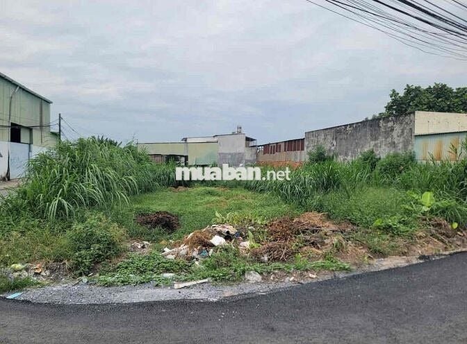 (5) TRỜI ƠI💥ĐẤT 2MT CỰC ĐẸP NÈ MỌI NGƯỜI ƠI - XÃ TÂN PHÚ TRUNG