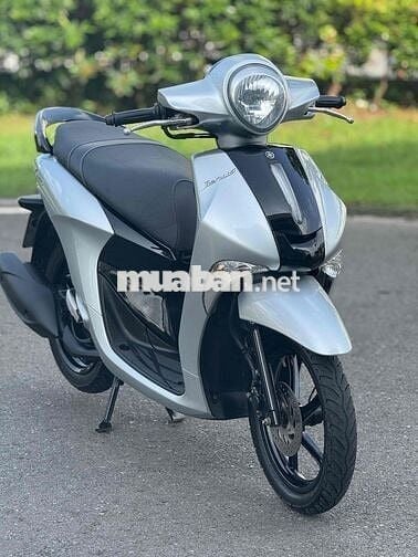 Yamaha- janus