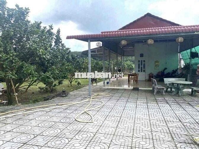 CẦN BÁN GẤP LÔ ĐẤT VƯỜN GIÁ NGỢP CỰC KÌ ĐẸP🔥