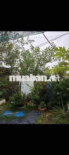 🌱BÁN ĐẤT HIẾM MẶT TIỀN HẺM LỚN🌱