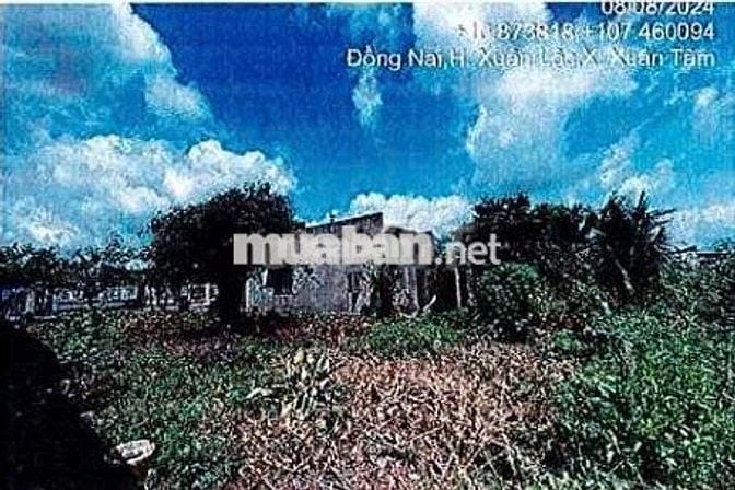 Bán ĐGTS đất tại xã Xuân Hòa, Tỉnh Đồng Nai