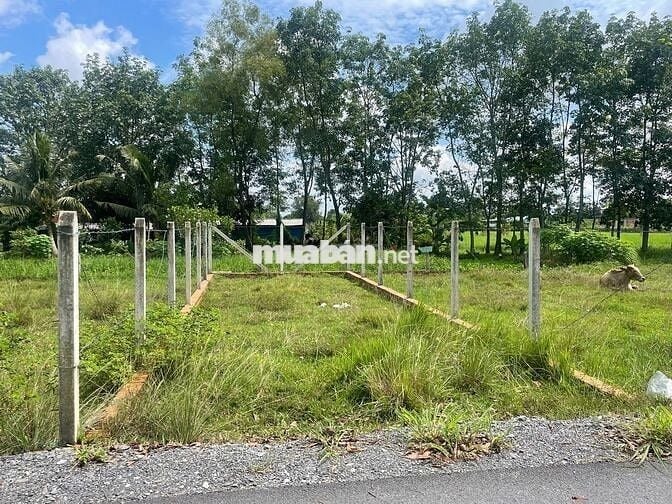 Đất hẻm TT Hóc Môn 76m2 giá 2tỷ