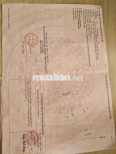 BÁN ĐẤT CHÍNH CHỦ – GIÁ TỐT TẠI PHƯỜNG BÌNH XUÂN