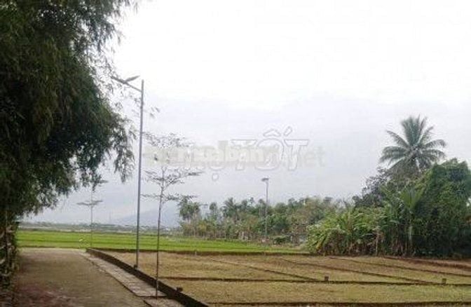4 lô liền kề điện hồng, thôn cẩm vân bắc, dt 400m2, đường 3,75m