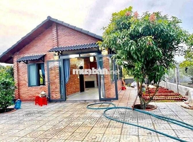 3059m2 nhà vườn (300m2 THỔ) - 980tr sang tên - NHÀ CÓ SẴN