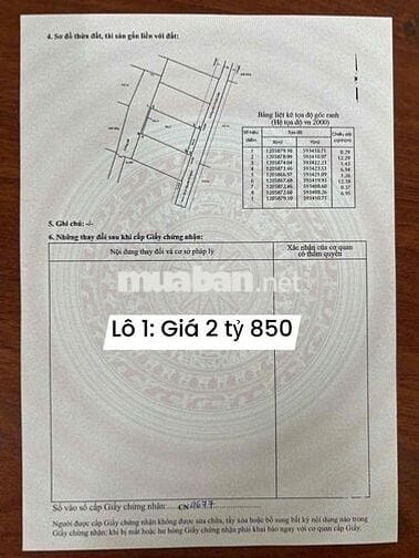 Đất 7x14m Shr đg Ô tô cách Nguyễn Thị Ngâu 15 gần trường Tam Đông 2