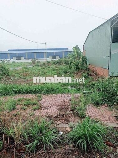 Đất khu công nghiệp đồng  phú 170m2 (5*34)