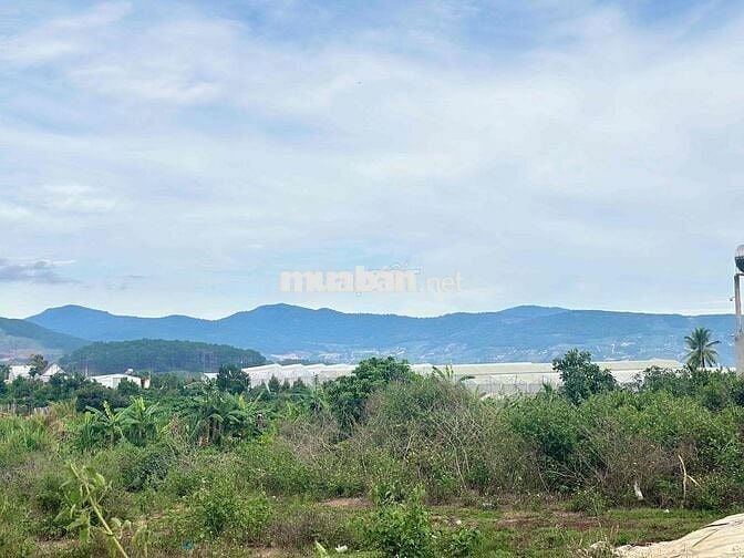 Chính chủ cần bán lỗ lô đất tại Thôn 1- Mê Linh - Lâm Hà