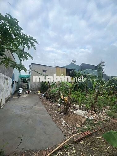 Đất 207m hẻm Bùi Thị Xuân gần chợ Tân Bình Dĩ An
