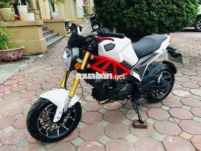 DUCATI MONSTER 110 CHÍNH CHỦ ĐI GIỮ GÌN ĐK 2023