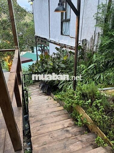 SANG NHƯỢNG QUÁN NƯỚNG BBQ - TP. ĐÀ LẠT (GẦN TRUNG TÂM)