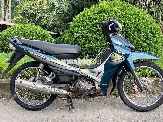 jupiter ngon,chất,khoẻ