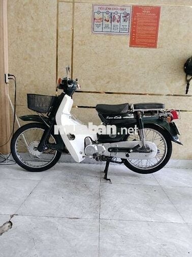 CÚP 50cc ,XE VIỆT THÁI 2016, HỌC SINH ĐI HỌC