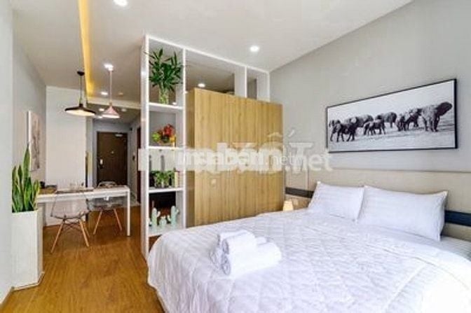 Cho thuê CH The Everrich Infinity, Q5 - 13 triệu, 43 m2, 1PN, Giá Tốt