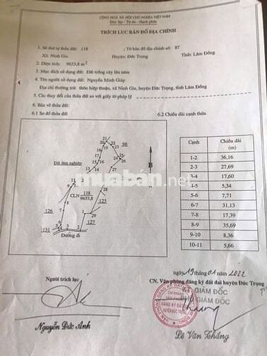 Cần bán rẫy + tiêu đang cho thu hoạch