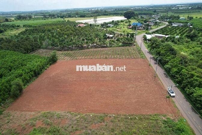 Hàng F0 anh chị em ơi giá rẻ tụt quần ạ. 200mv/60 thổ cư..