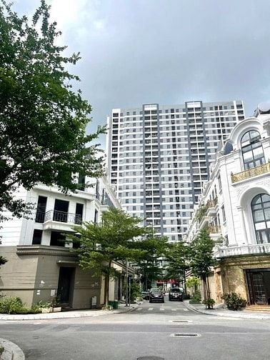 Shophouse Vip khu 31ha Trâu quỳ, 5 tầng thang máy kinh doanh 90m2 mt6m