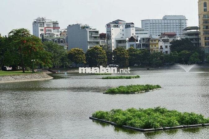 CC bán lô đất 6*18m mặt vành đai gần hồ điều hoà thị trấn Thắng 4,5Ty