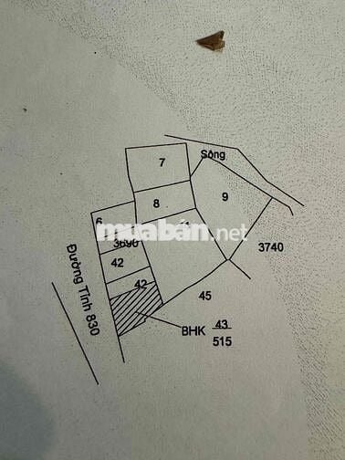 Kẹt tiền cần bán đất có nhà vườn đường 835C Cần Đước