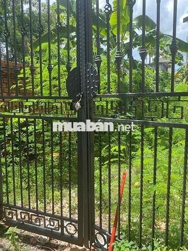 BÁN ĐẤT ĐÔNG HƯNG THUẬN, Q12 – HẺM XE HƠI 6M – DT 5x18m