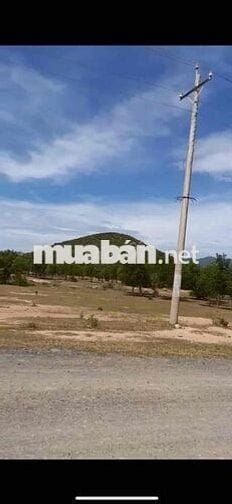 đất mặt tiền gần quốc lộ 1a xã phong phú huyện tuy phong