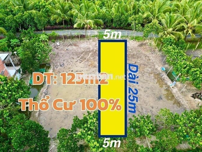 Đất Nền Thổ Cư 100% Lộ Nhựa Giá Rẻ